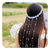 Crown Shine Hair Pin